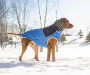 GFpet Scout Jacket