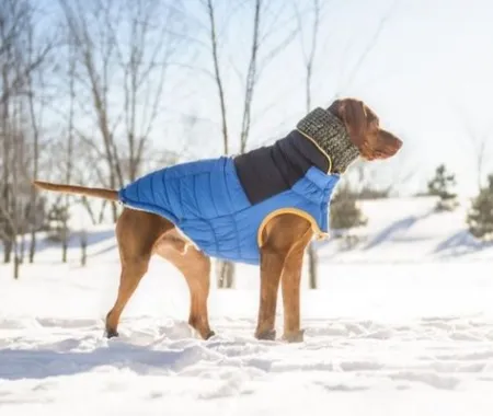 GFpet Scout Jacket