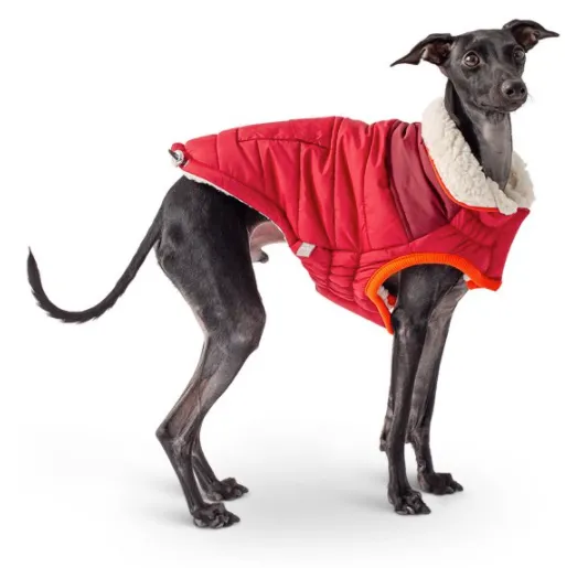 GFpet Scout Jacket