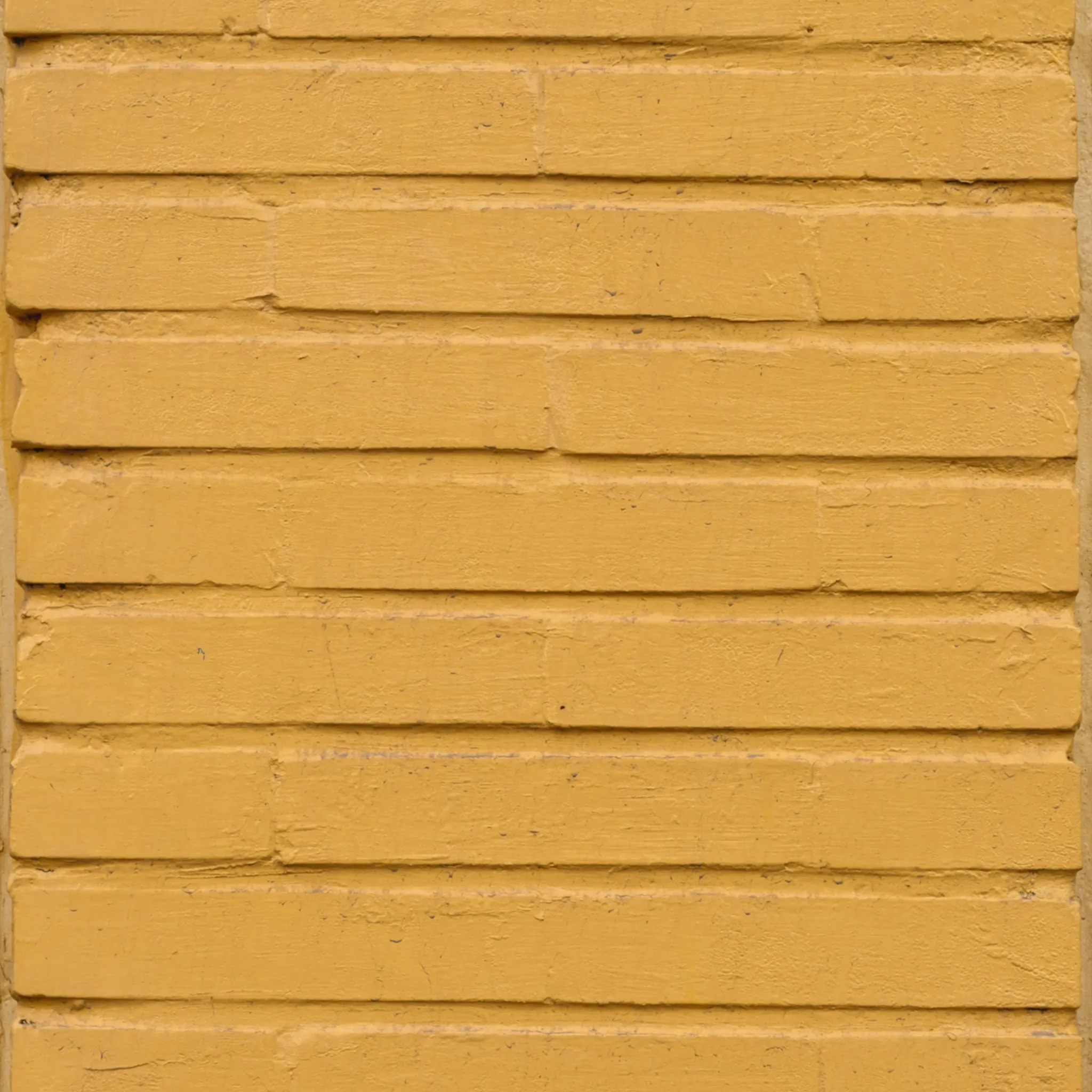 Hoy Explore Organic T-shirt - Faded Mustard